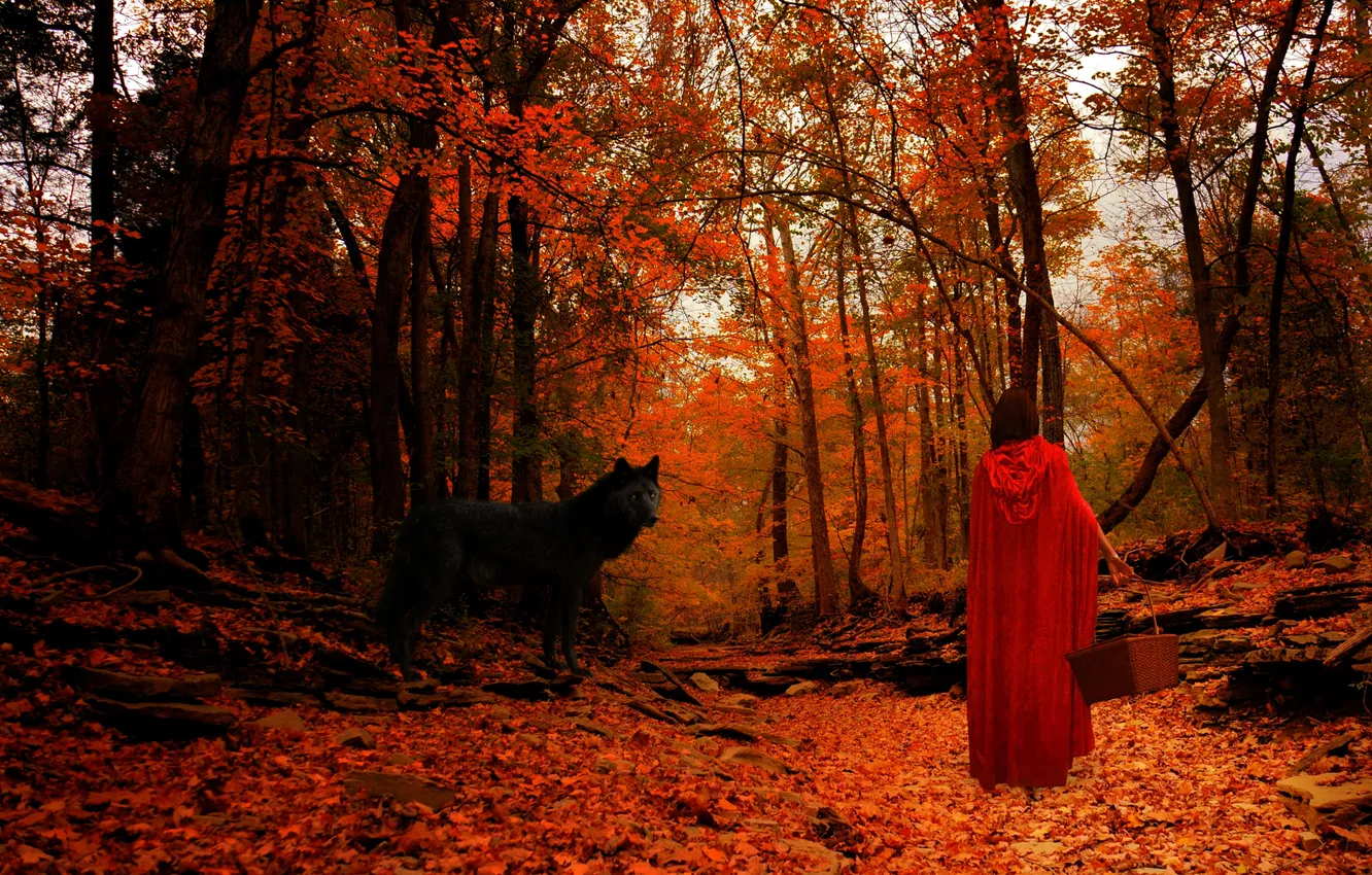 Photo wallpaper autumn, forest, look, leaves, girl, trees, landscape, animal