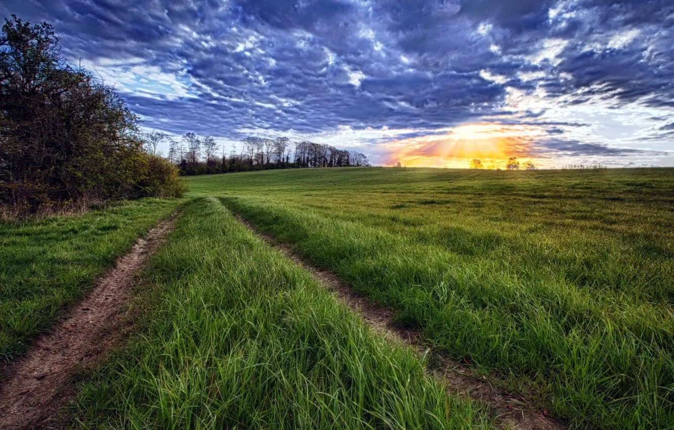Photo wallpaper road, field, the sky, landscape