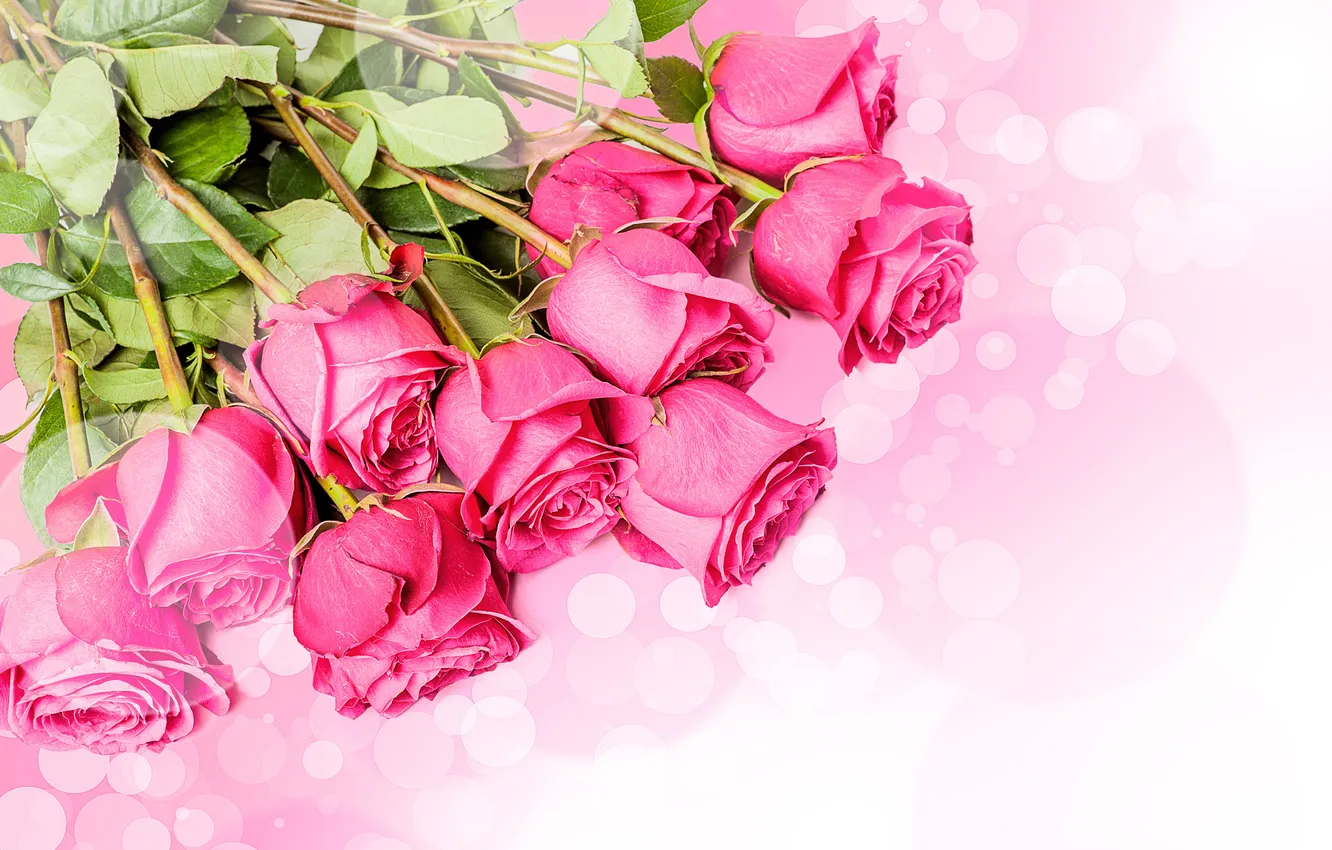 Photo wallpaper macro, flowers, photo, roses, pink, a lot