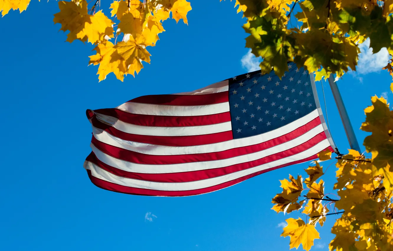 Photo wallpaper the sky, leaves, flag