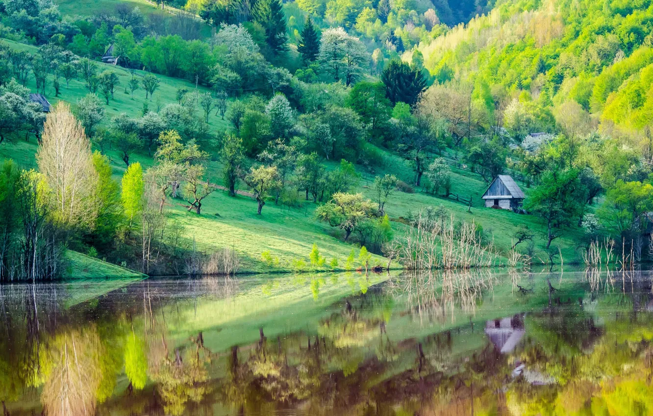 Photo wallpaper trees, reflection, river, mountain, slope