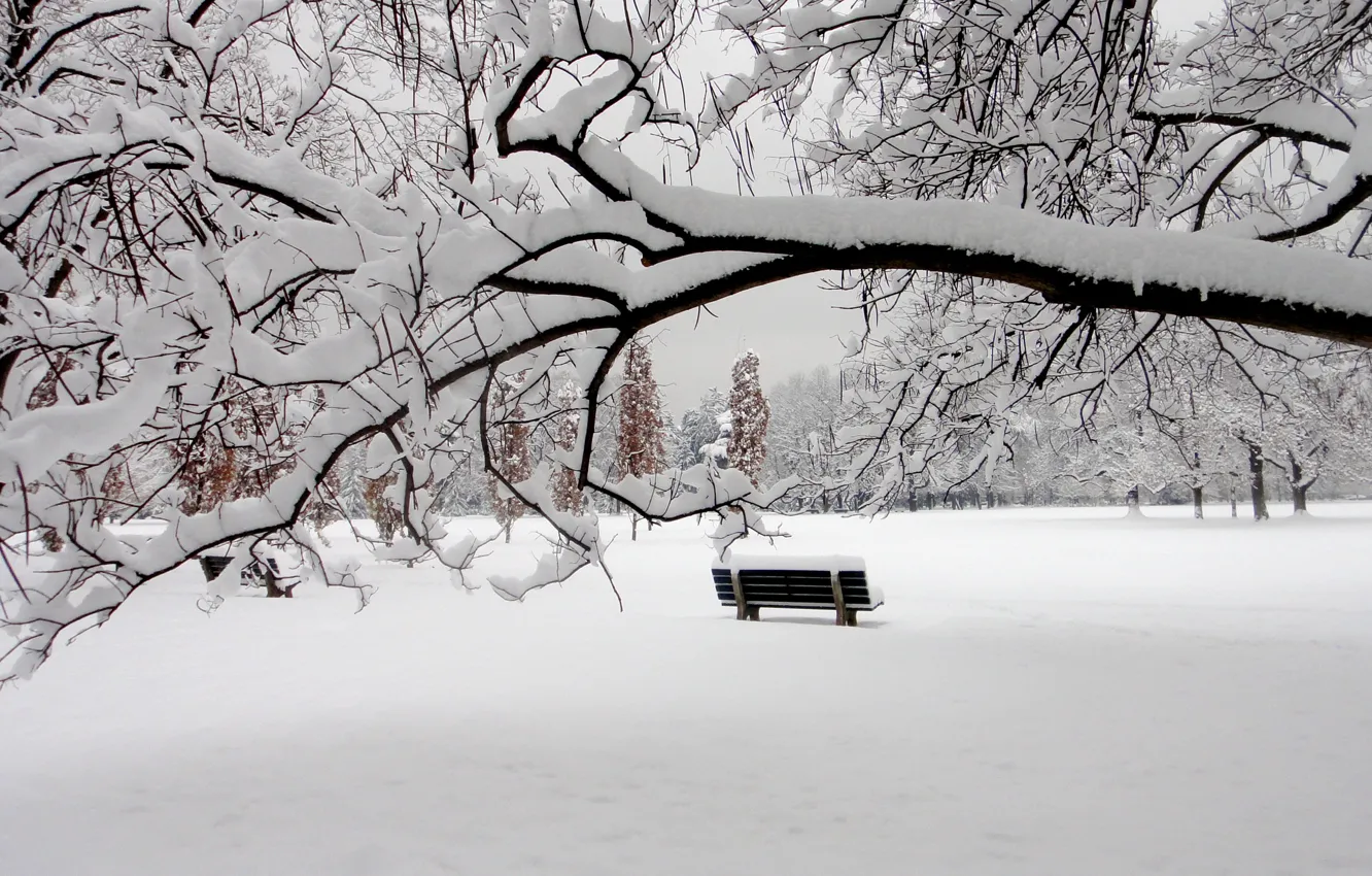 Photo wallpaper winter, snow, Park, bench