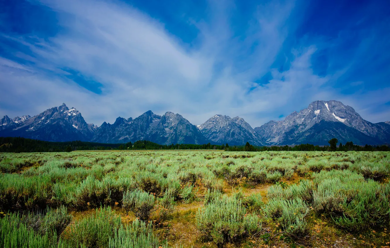 Photo wallpaper landscape, mountains, nature, USA, parks