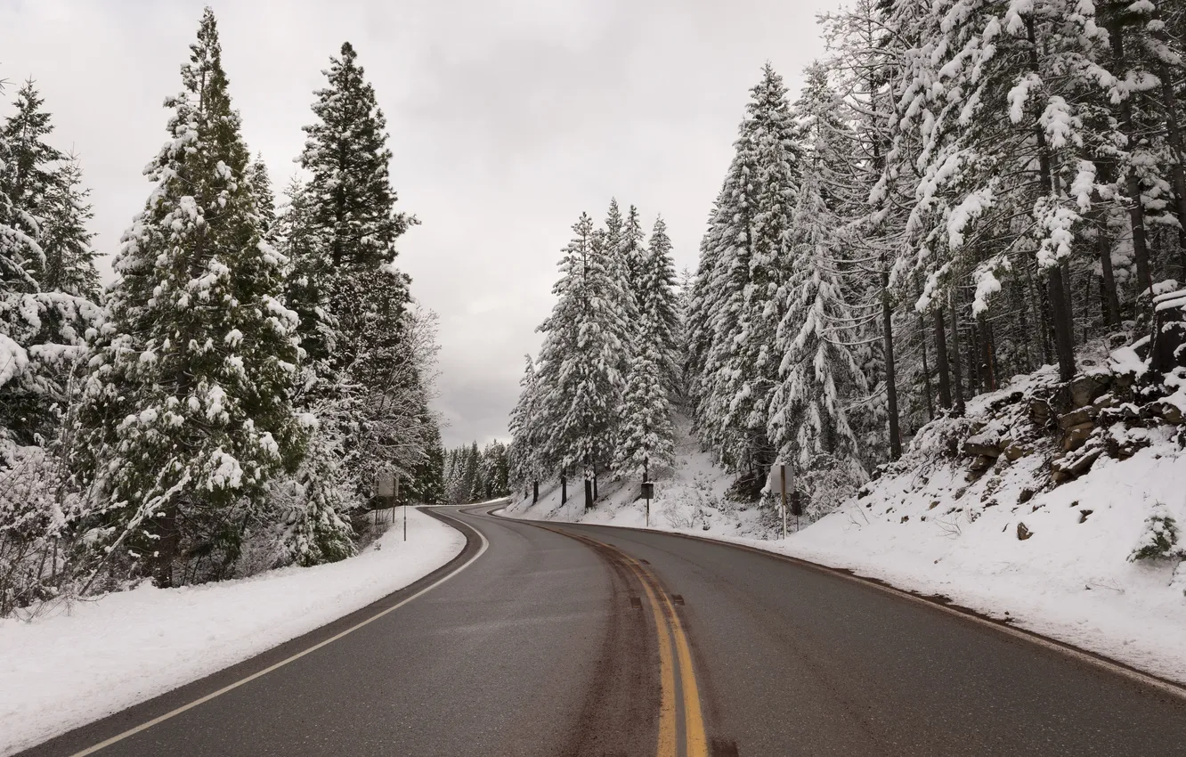 Photo wallpaper winter, road, forest, the sky, asphalt, clouds, snow, trees