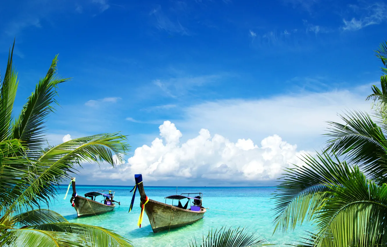 Photo wallpaper sea, clouds, branches, tropics, palm trees, shore, boats, horizon