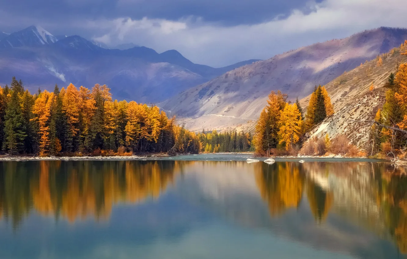 Photo wallpaper forest, landscape, mountains, nature, river, Altay, Argut
