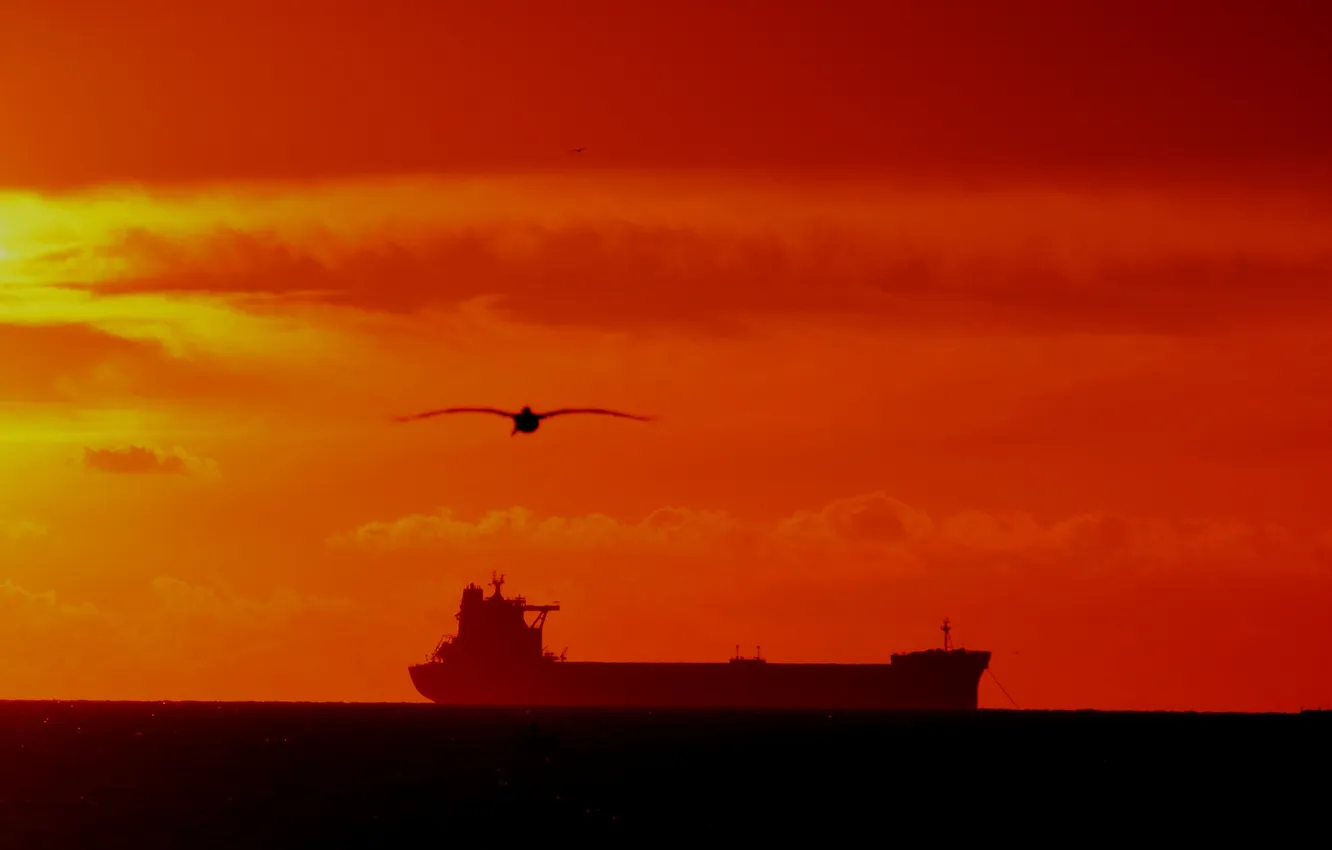 Photo wallpaper sea, flight, sunset, ship, seagulls, horizon, orange sky