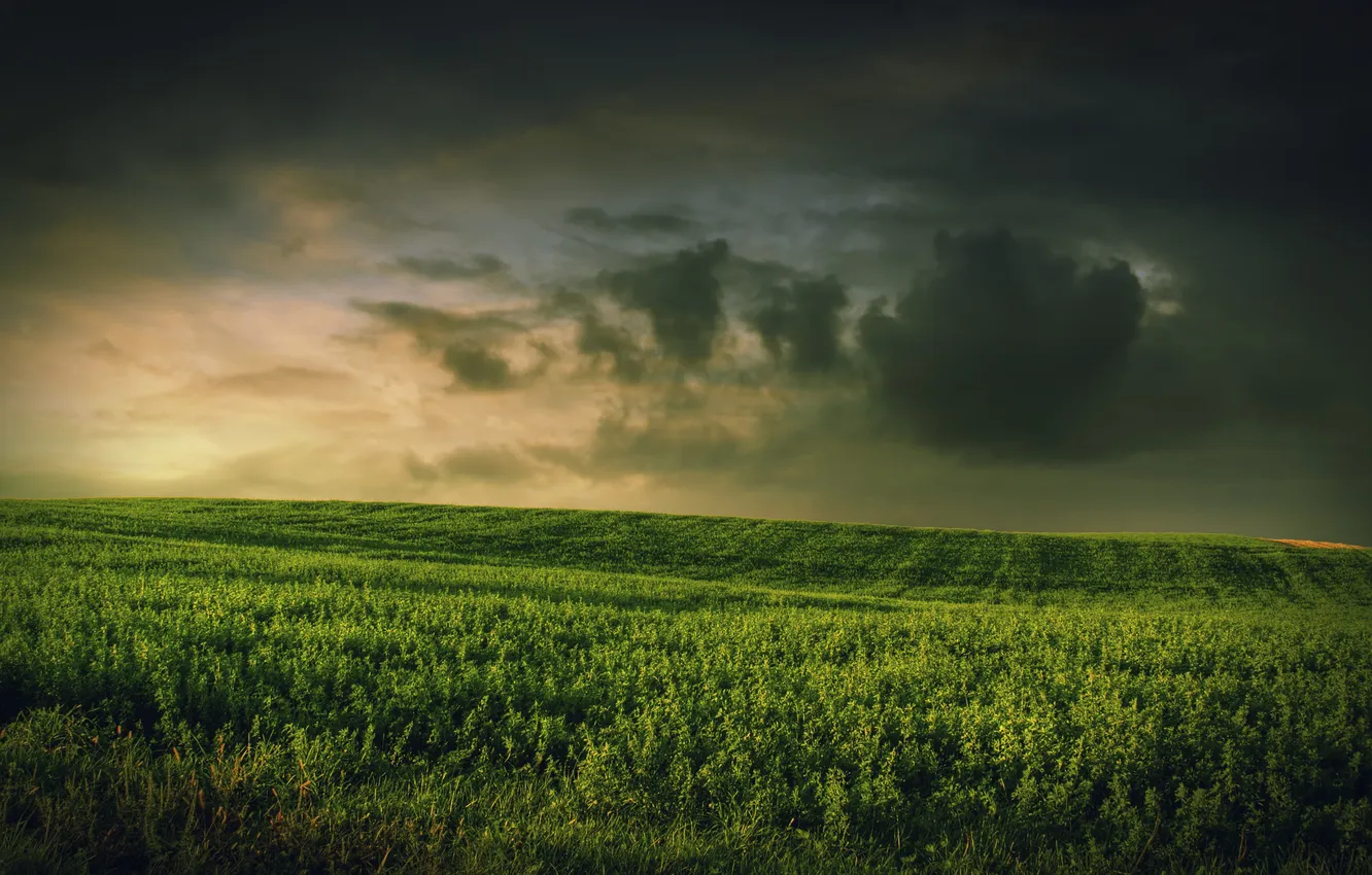 Photo wallpaper field, the sky, grass, clouds, weather