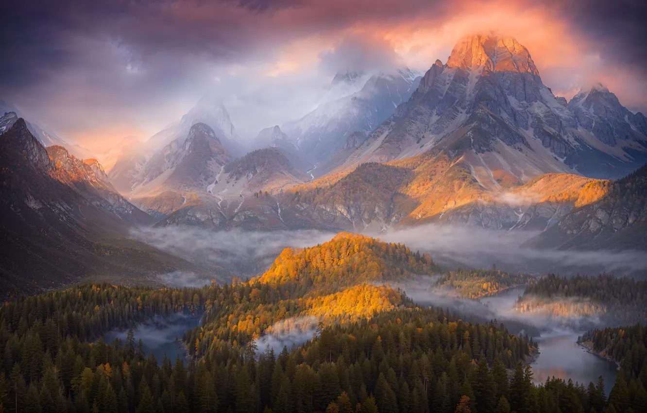Photo wallpaper forest, clouds, snow, mountains, nature, fog, tops, morning