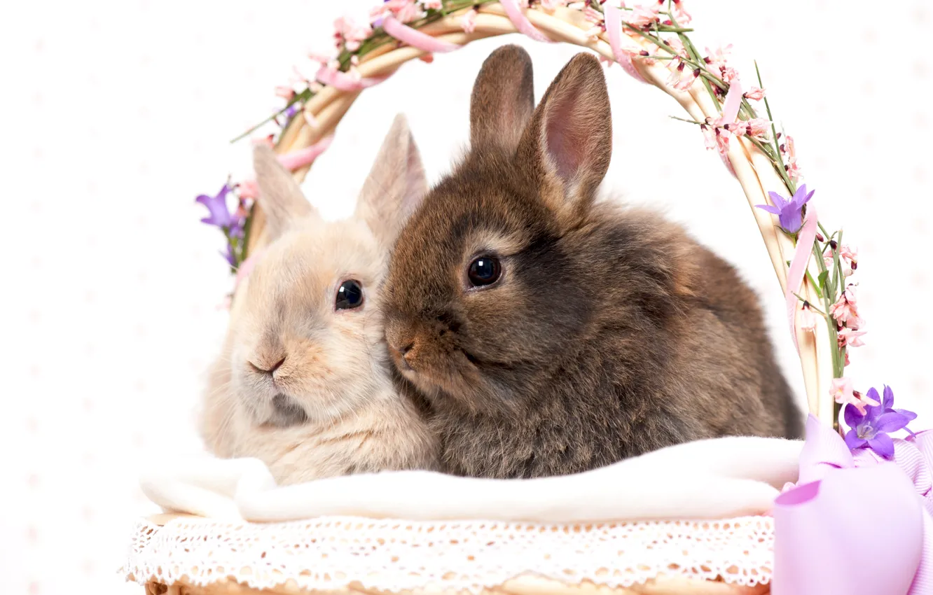 Photo wallpaper holiday, basket, Easter, rabbits, Easter