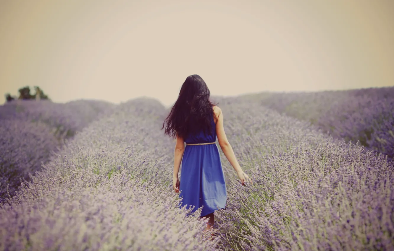 Photo wallpaper field, girl, flowers, background, mood, Wallpaper, dress, brunette
