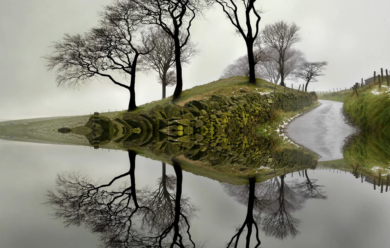 Photo wallpaper water, trees, reflection
