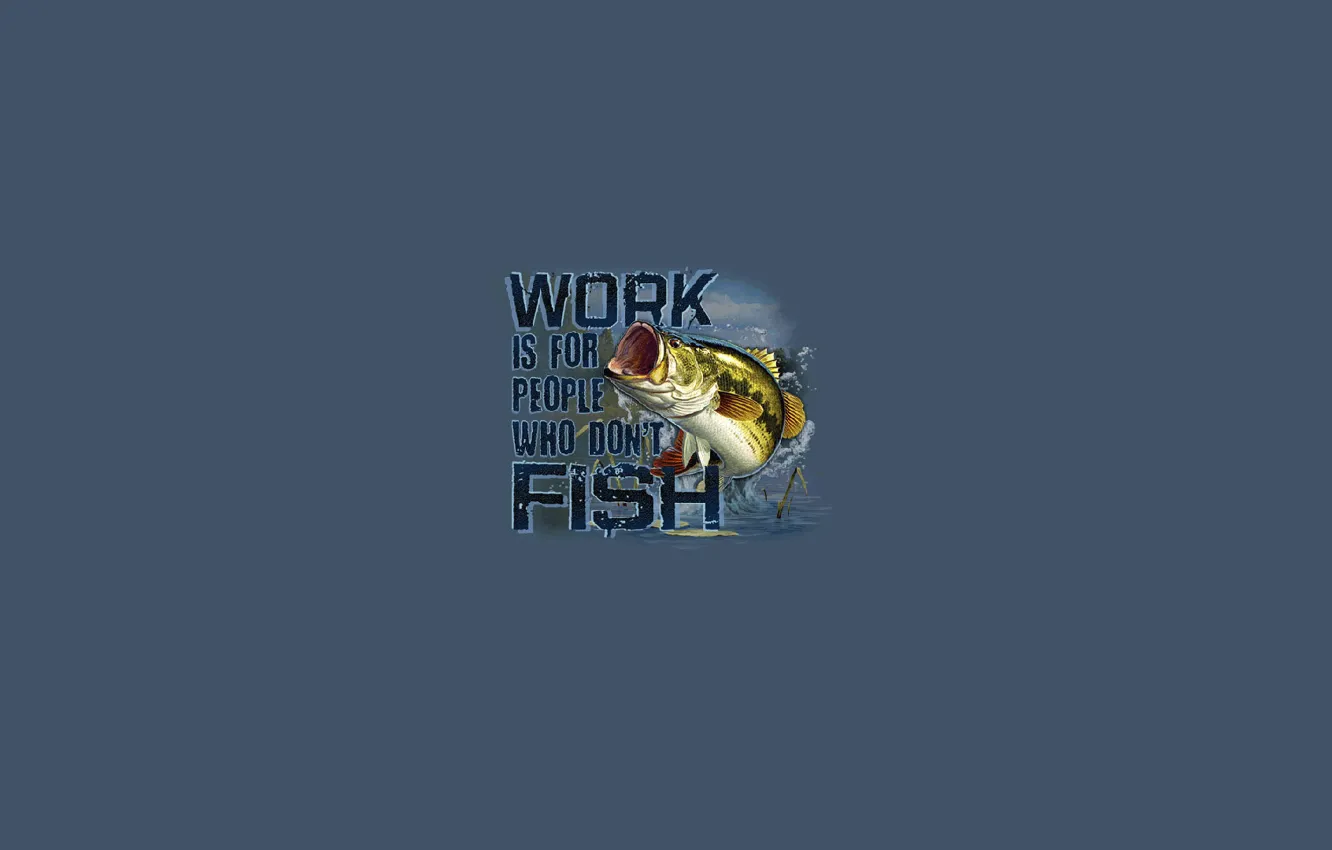 Photo wallpaper fishing, fish, perch