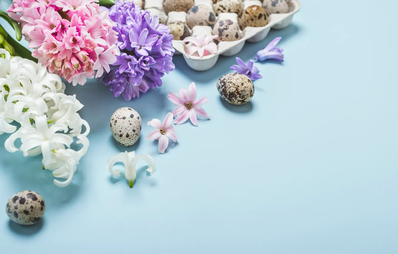 Photo wallpaper flowers, eggs, spring, Easter, flowers, spring, Easter, eggs