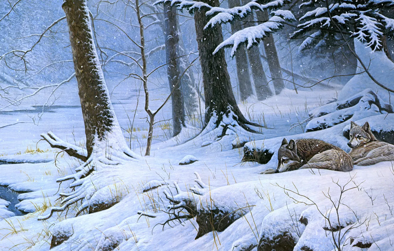 Photo wallpaper winter, forest, snow, trees, branches, nature, roots, river