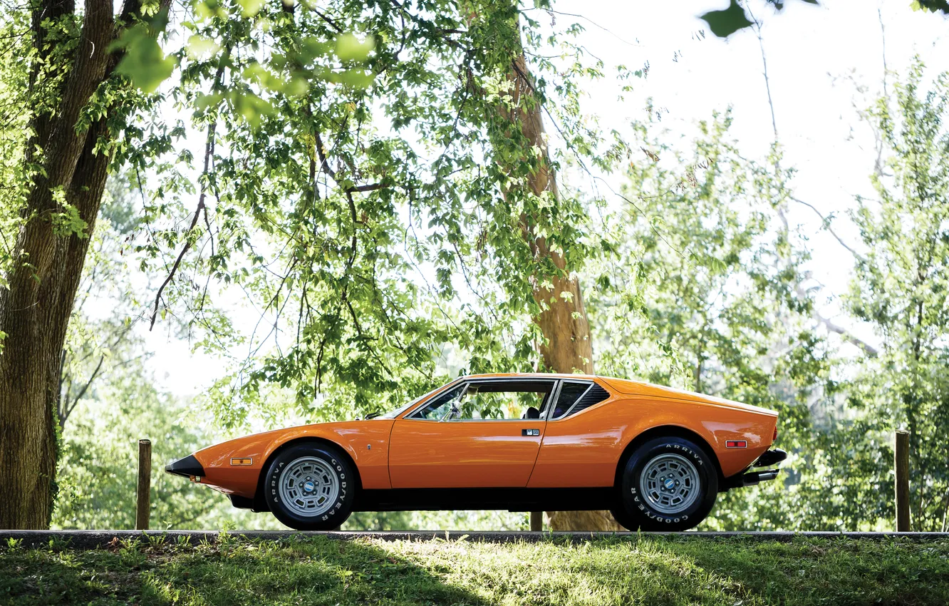 Photo wallpaper 1974, De Tomaso, Pantera, De Tomaso Pantera L