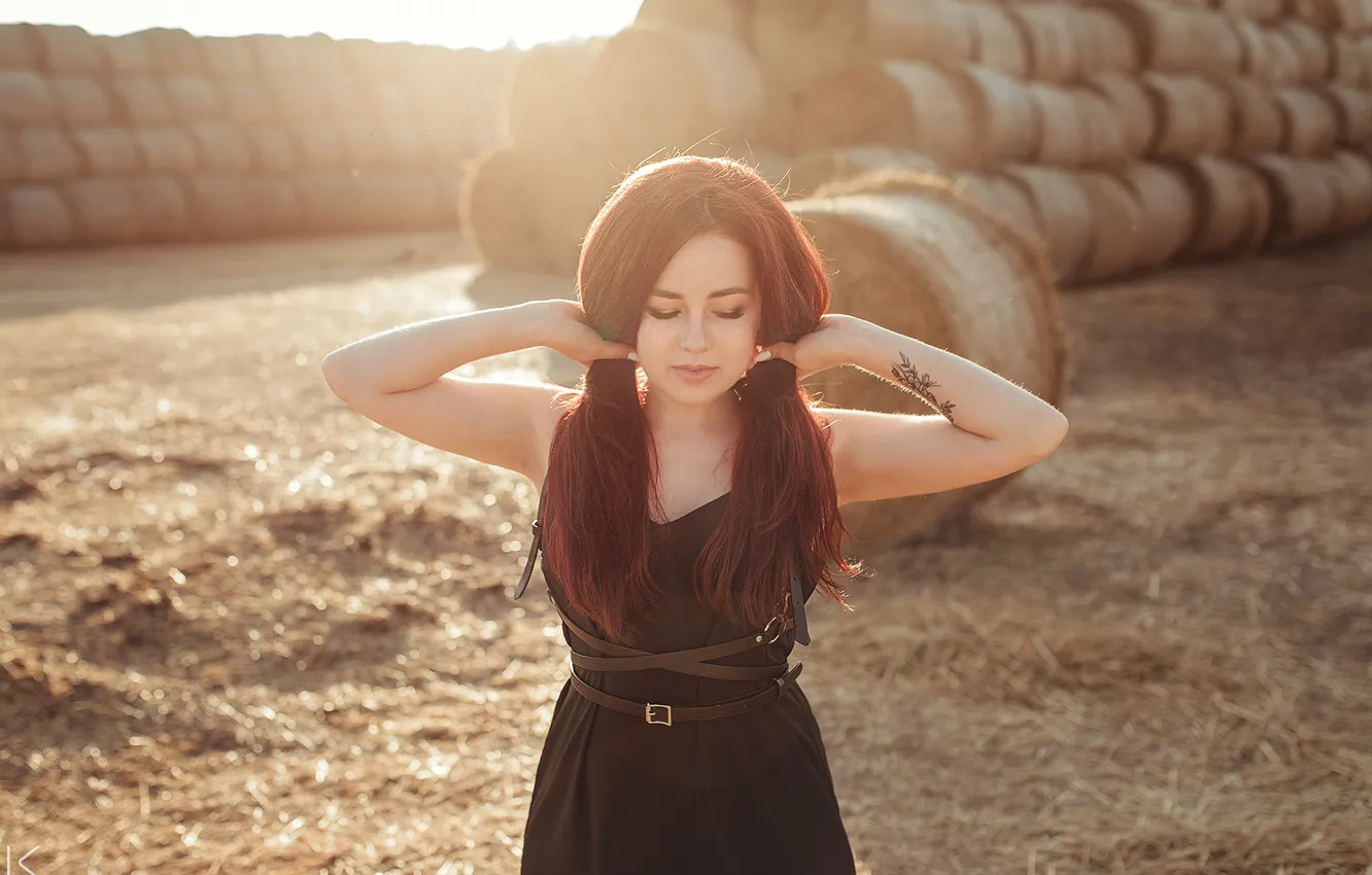 Photo wallpaper girl, hay, Sergey Freyer, Kate The Cat