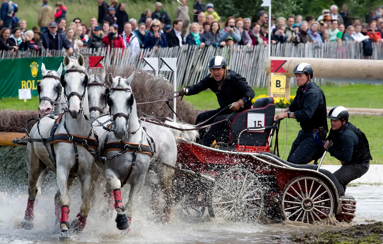 Photo wallpaper horse riding, competitions of horse sleds, Driving, bushel, Carriage driving
