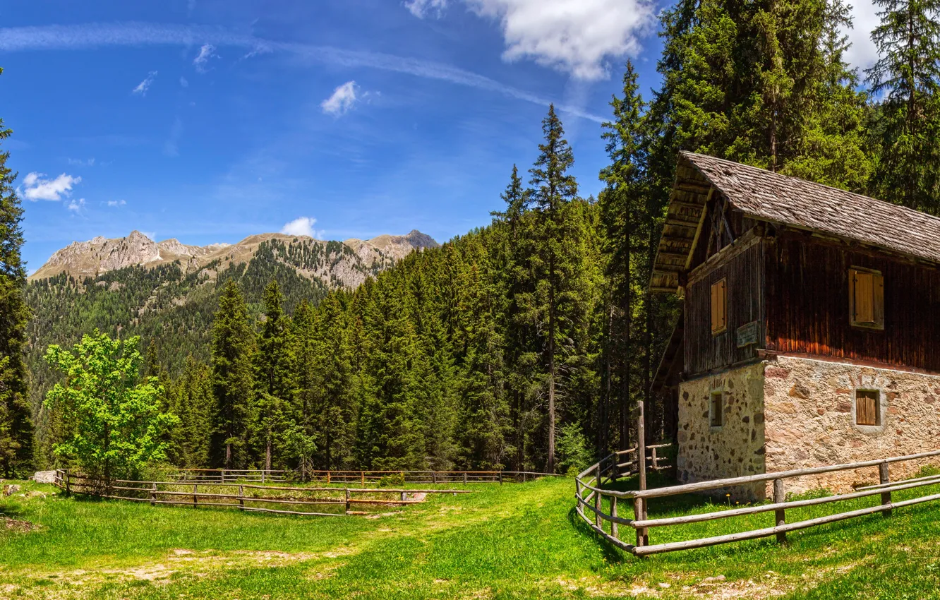 Photo wallpaper greens, forest, summer, the sky, the sun, clouds, trees, mountains
