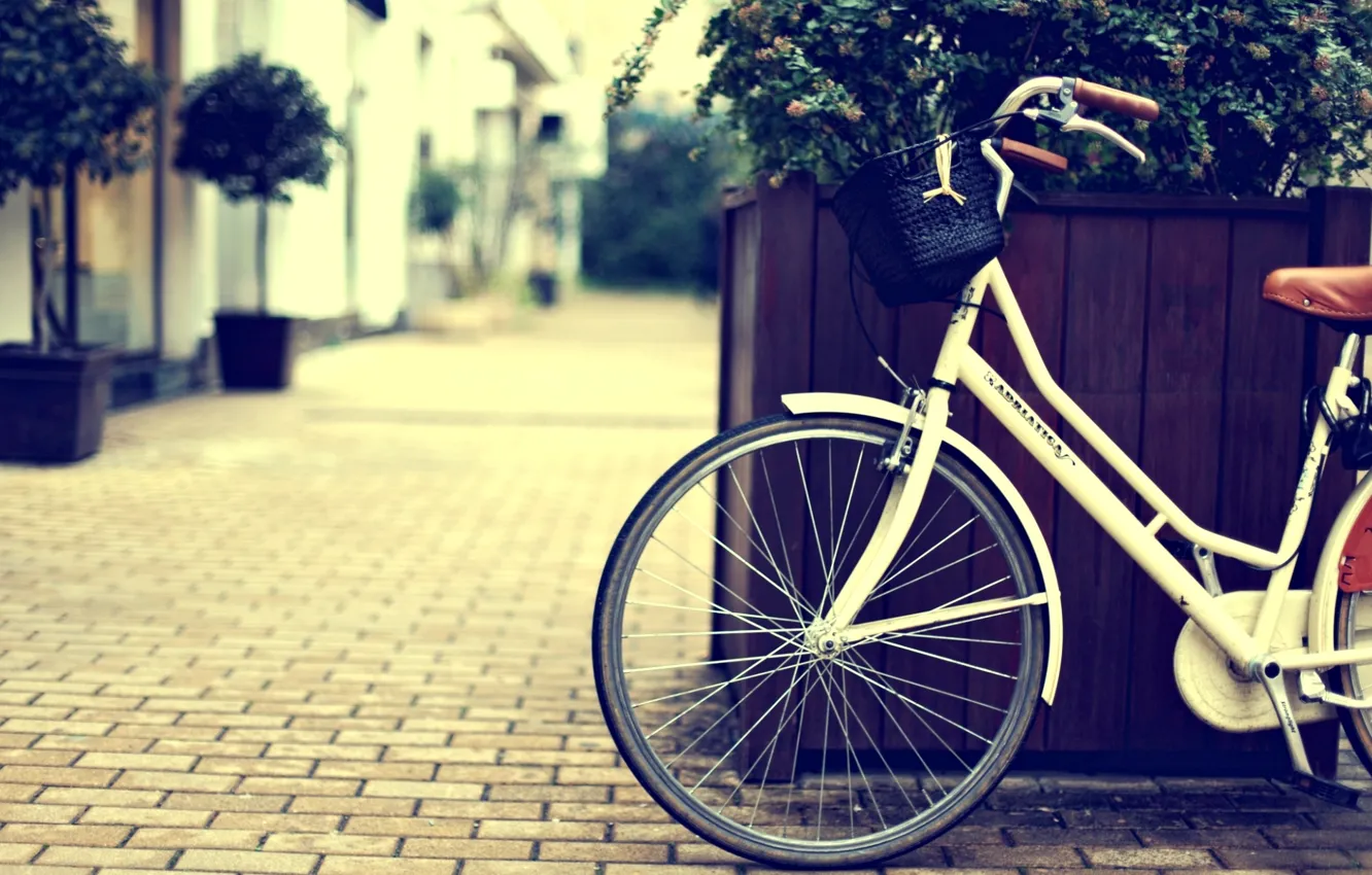 Photo wallpaper flowers, bike, city, the city, background, widescreen, Wallpaper, street