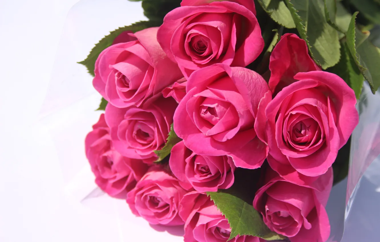Photo wallpaper romance, roses, bouquet, pink roses, Valentines, bouquet of pink roses