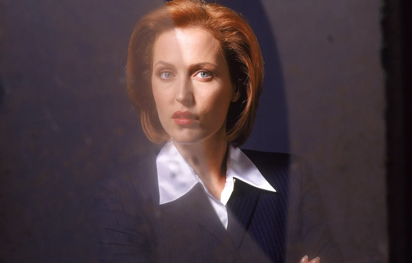 Photo wallpaper the series, The X-Files, Classified material, Gillian Anderson, Dana Scully
