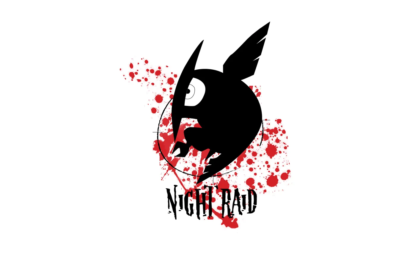 Photo wallpaper Akame ga Kill, Akame GA Kill, Night Raid