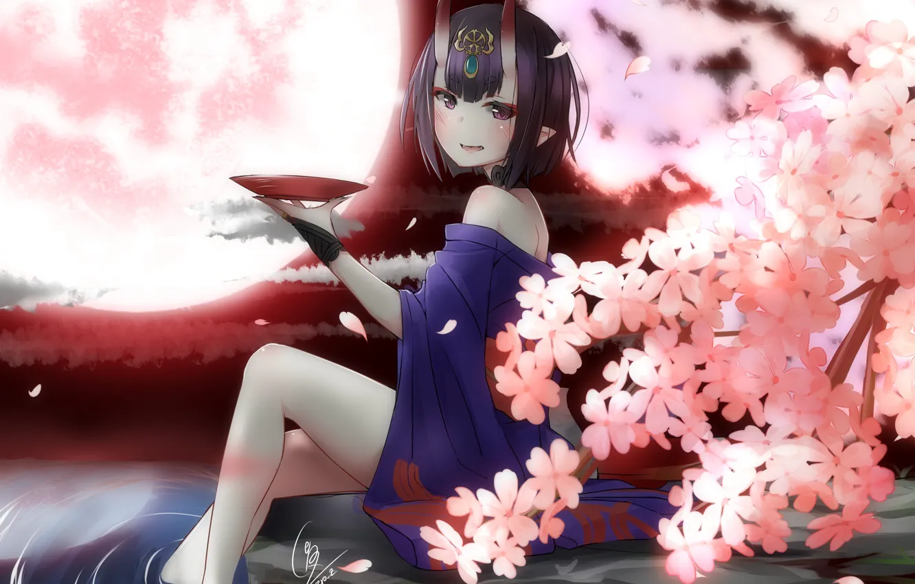 Photo wallpaper anime, art, assassin, Fate/Grand Order