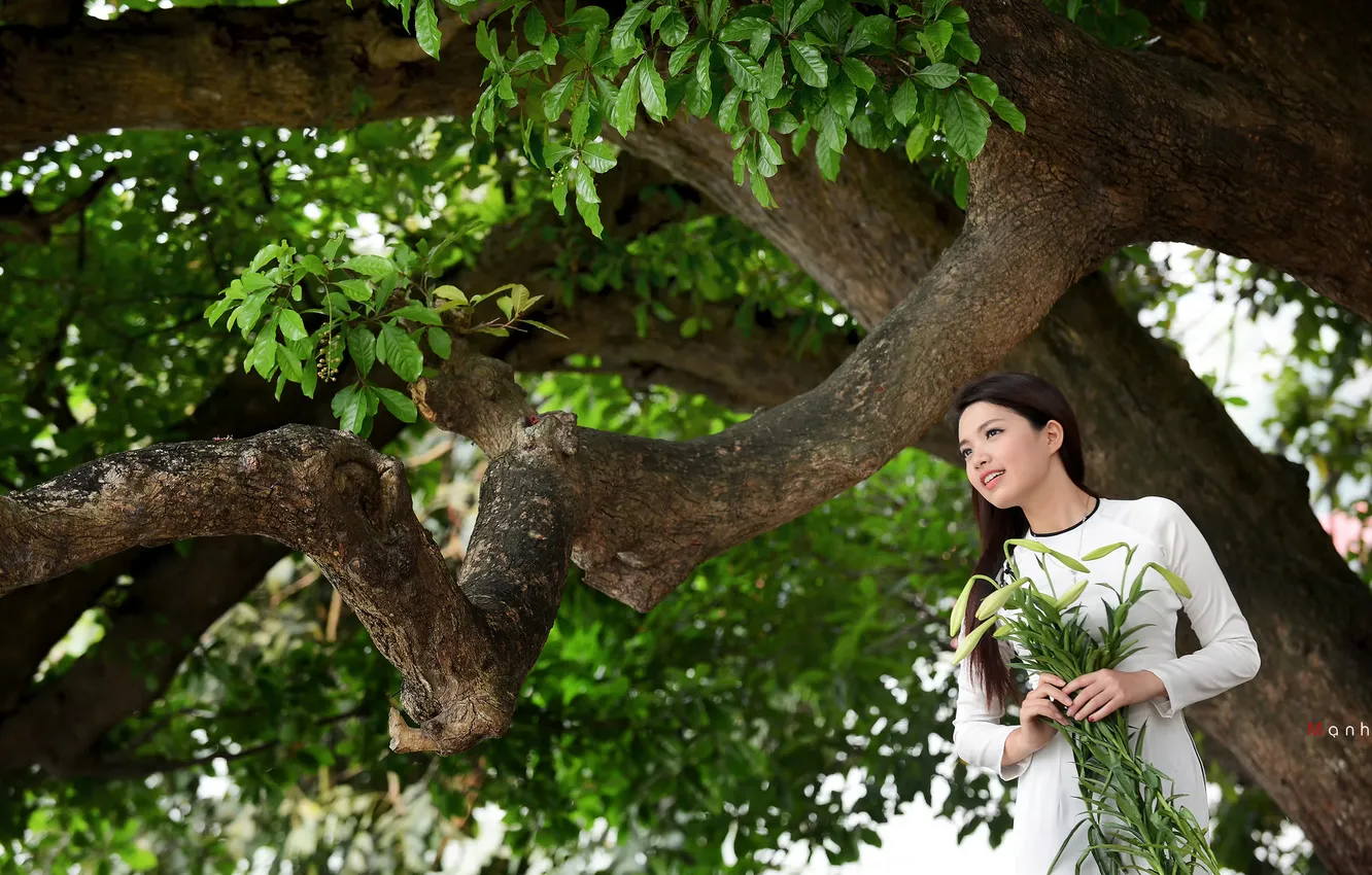 Photo wallpaper girl, tree, Asian