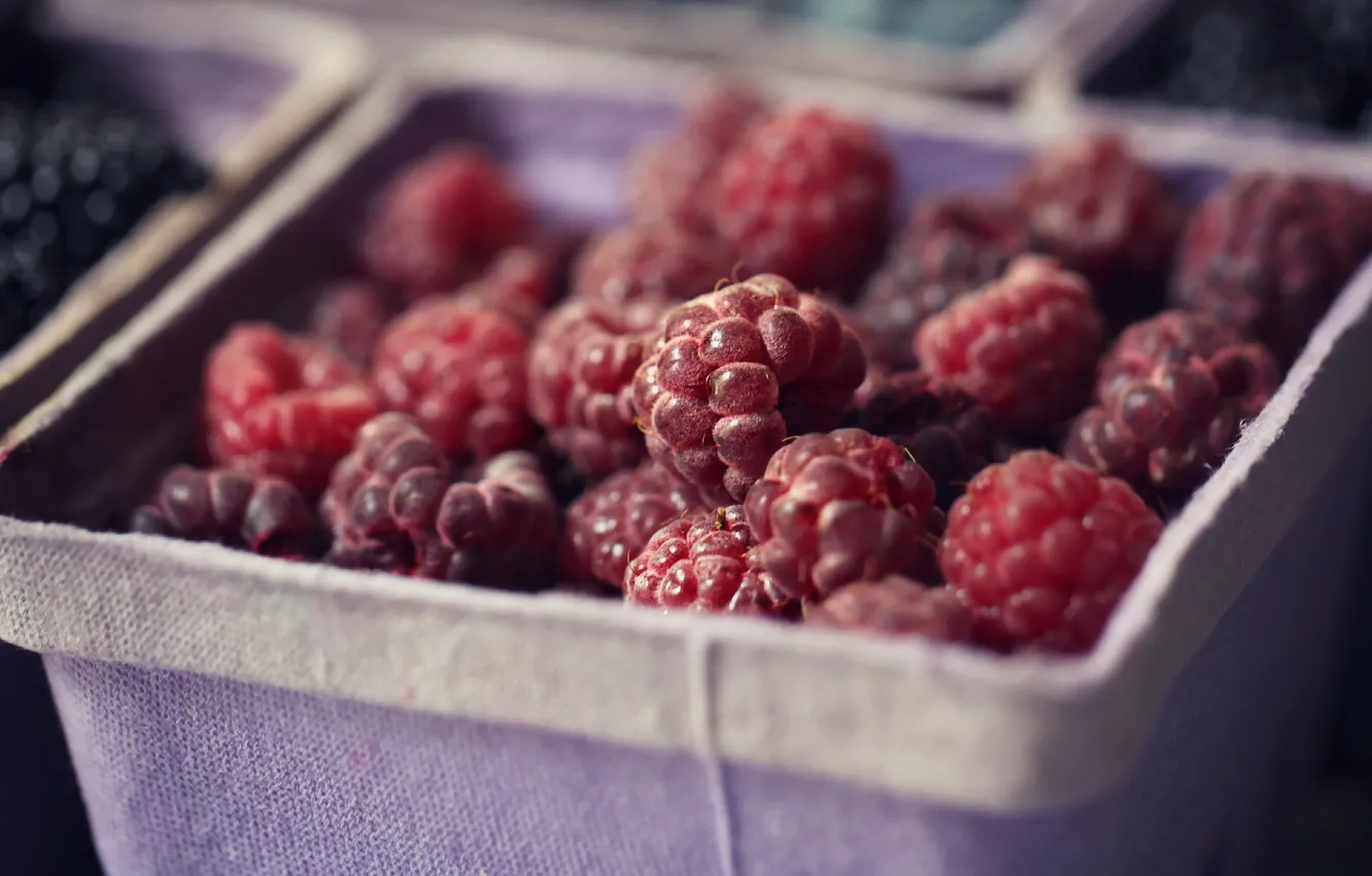 Photo wallpaper macro, berries, raspberries