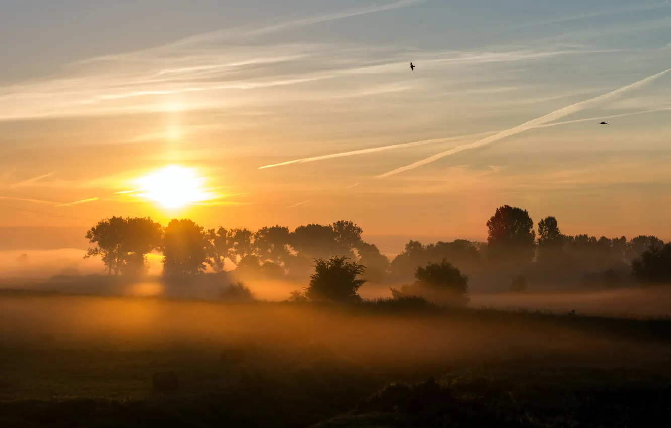 Photo wallpaper field, landscape, fog, morning