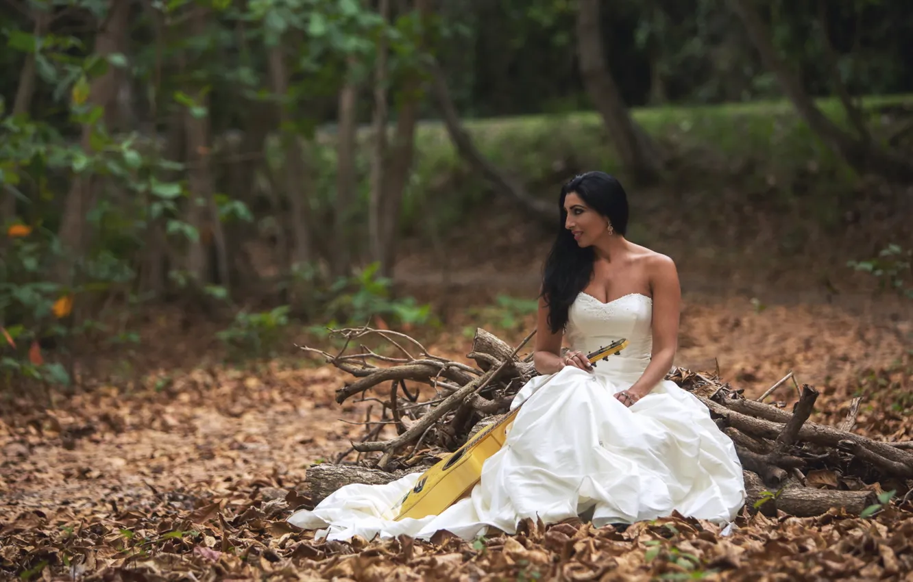 Photo wallpaper girl, music, guitar