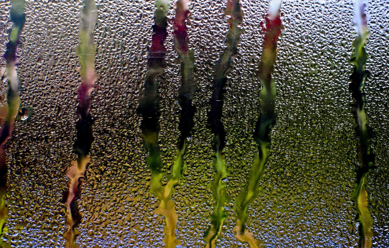 Photo wallpaper glass, water, drops, rain, window, threads