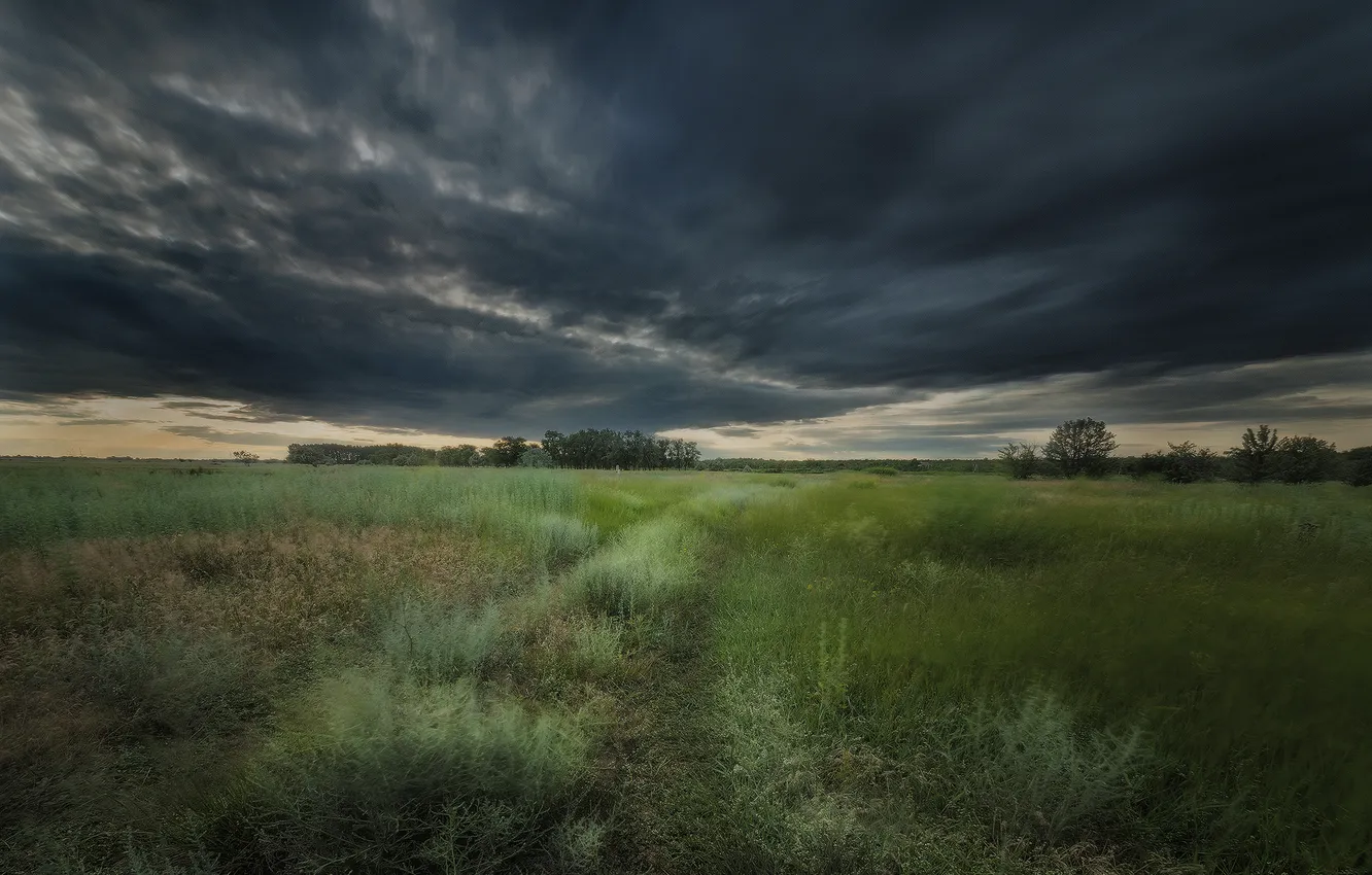 Photo wallpaper grass, clouds, space, stormy sky, beautiful landscape, Epifanov Vlad