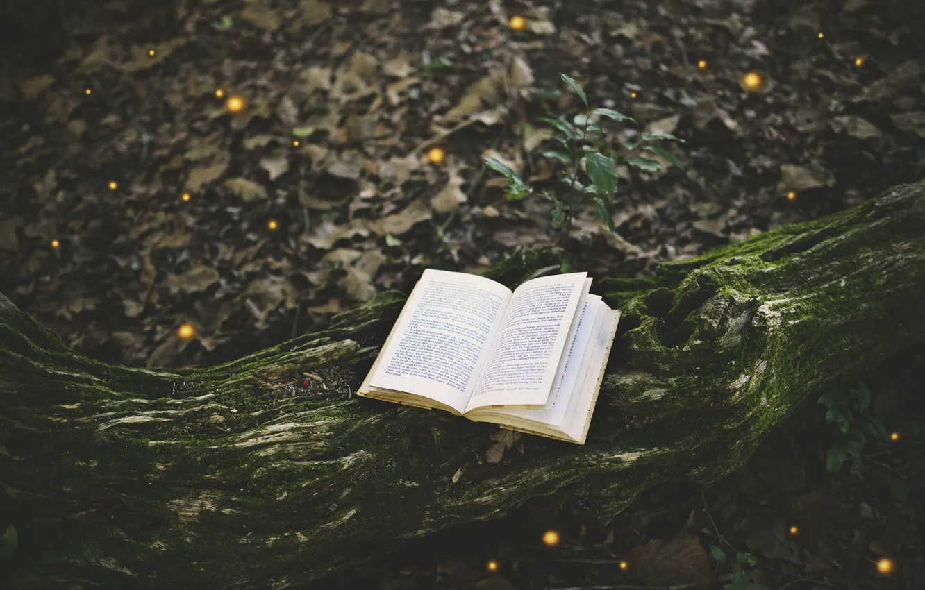Photo wallpaper forest, tree, moss, book, page