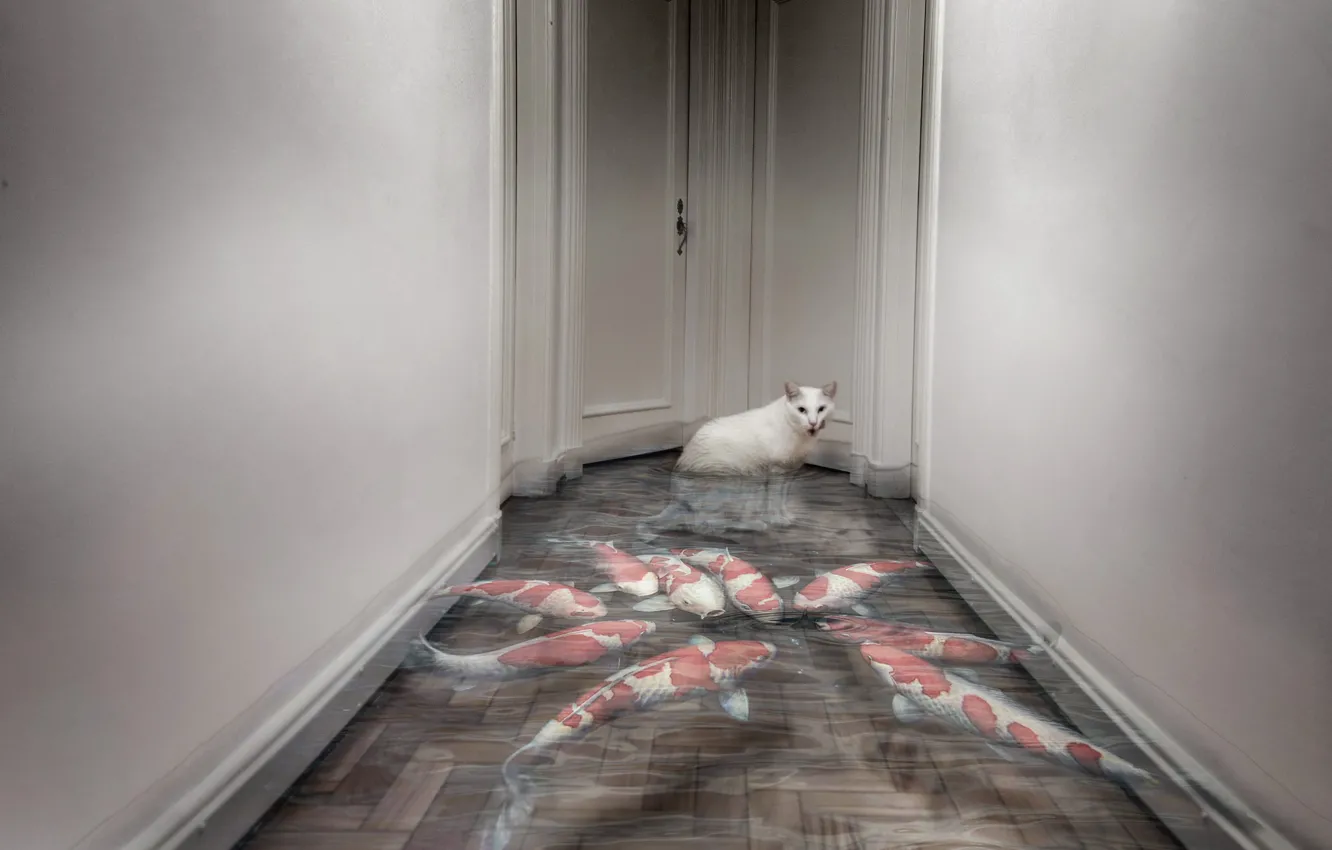 Photo wallpaper cat, fish, house