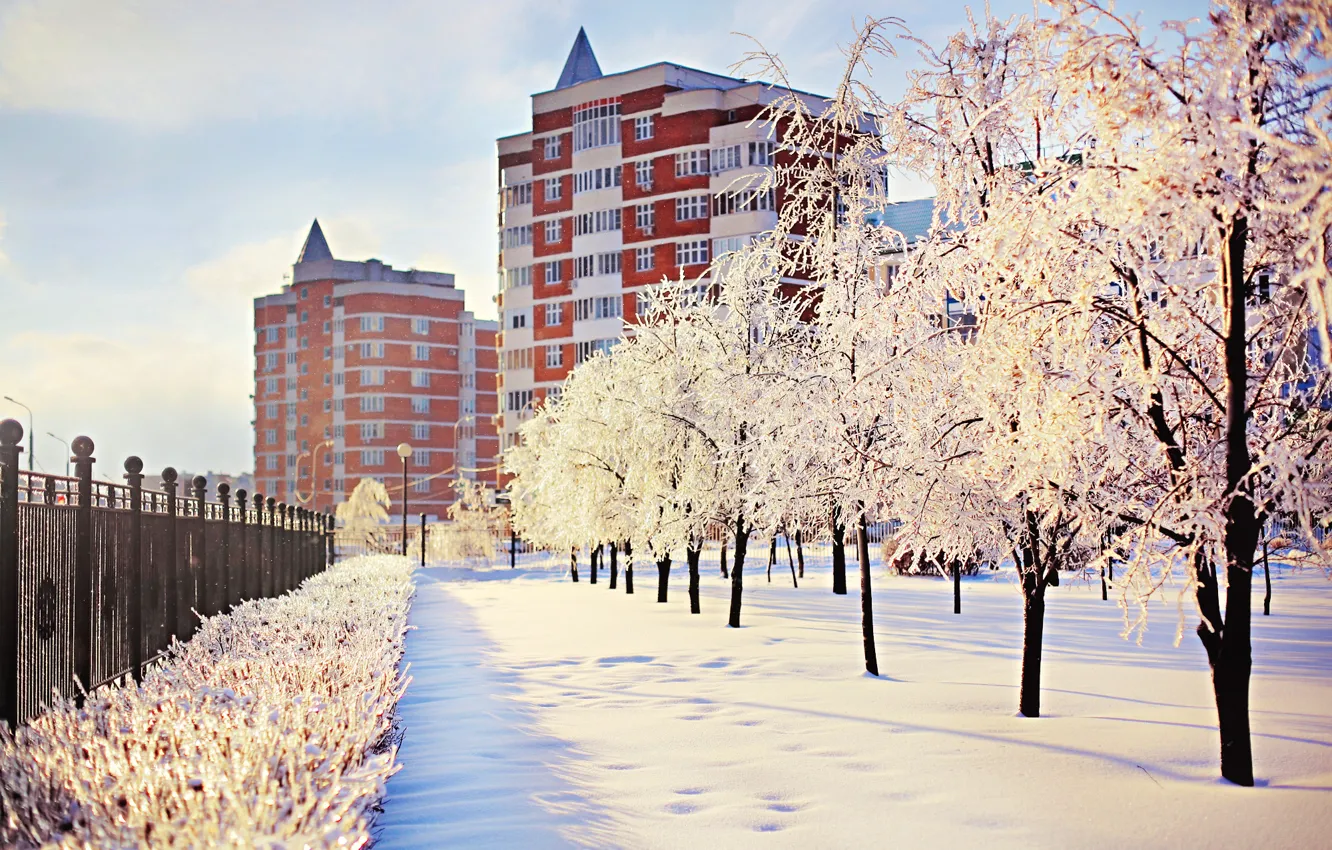 Photo wallpaper winter, snow, trees, city, the city, street, building, frost