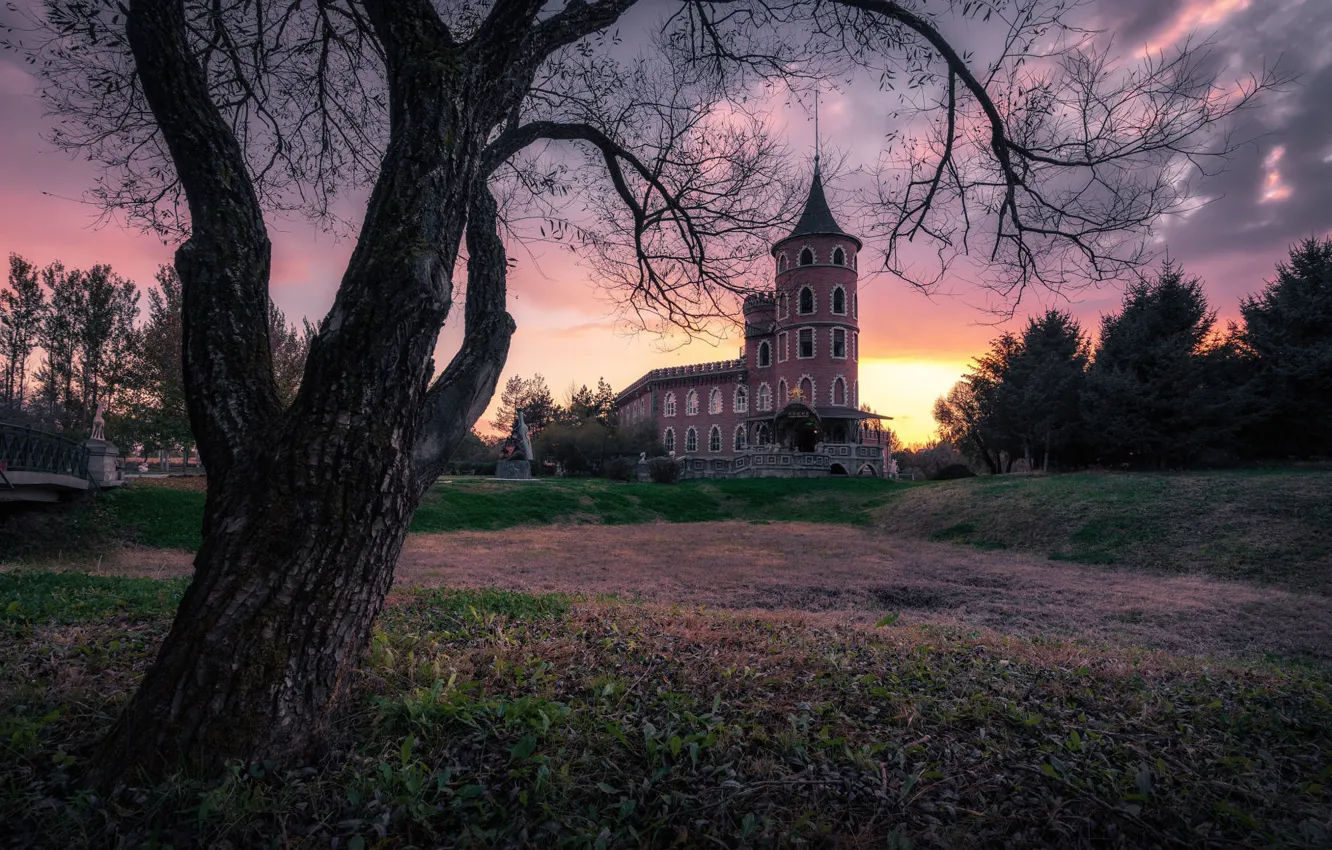 Photo wallpaper trees, sunset, castle