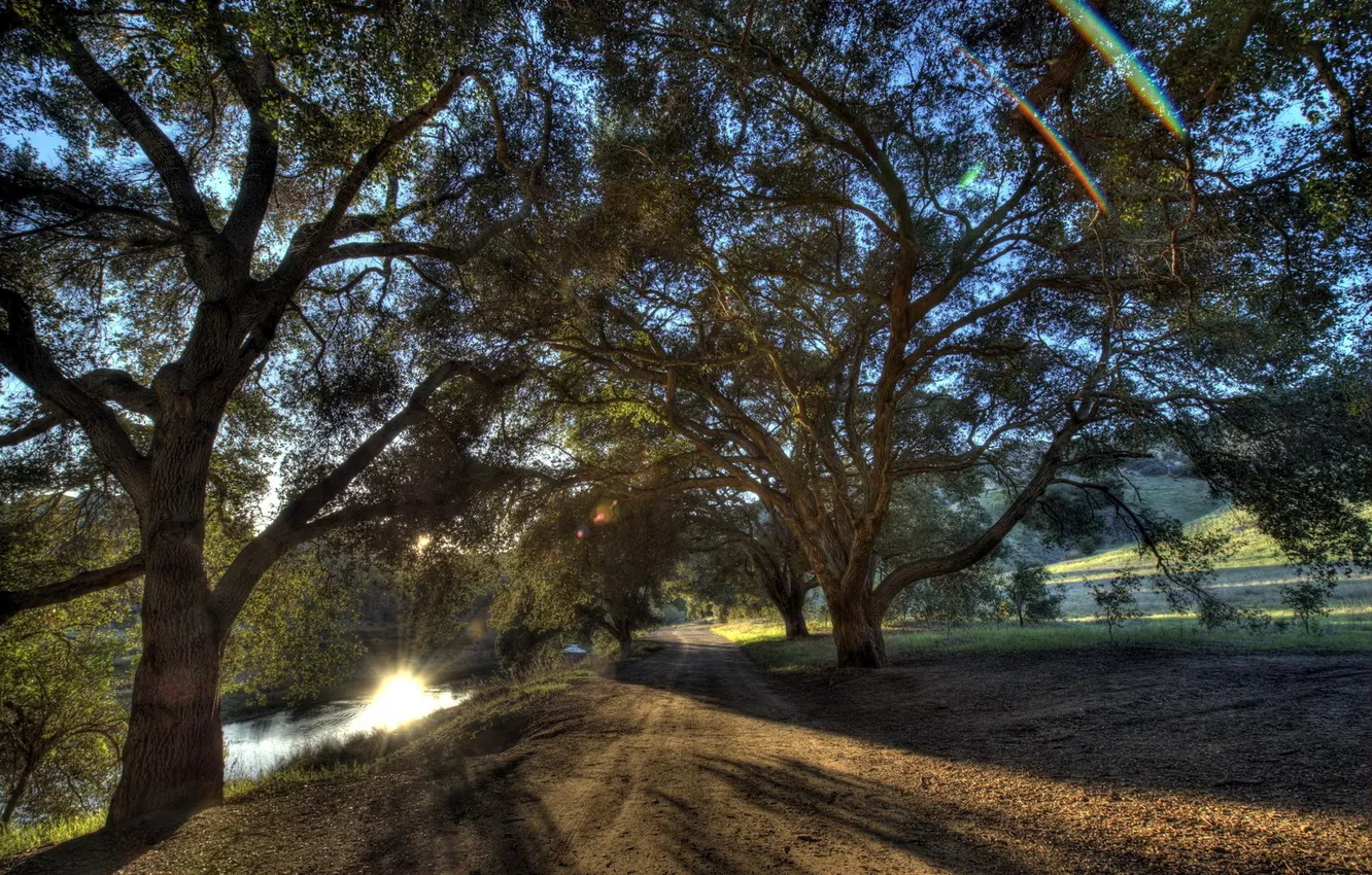 Photo wallpaper road, trees, landscape, river