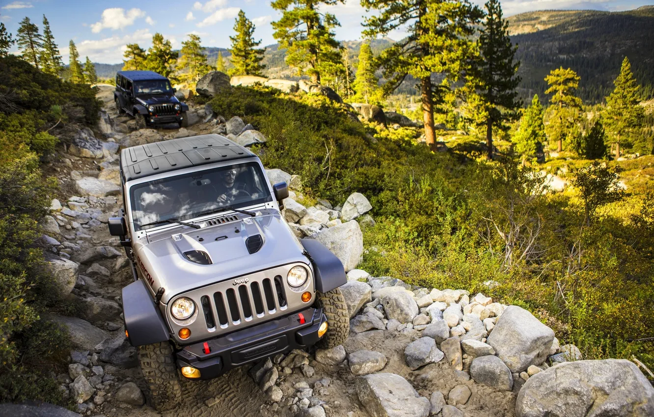 Photo wallpaper Trees, Stones, Jeep, Wrangler, Jeep, The front, The roads, Rubic