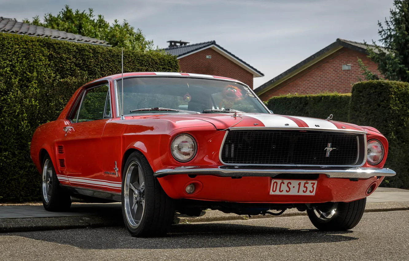 Photo wallpaper Mustang, Ford, Red, White, Street, Stripes