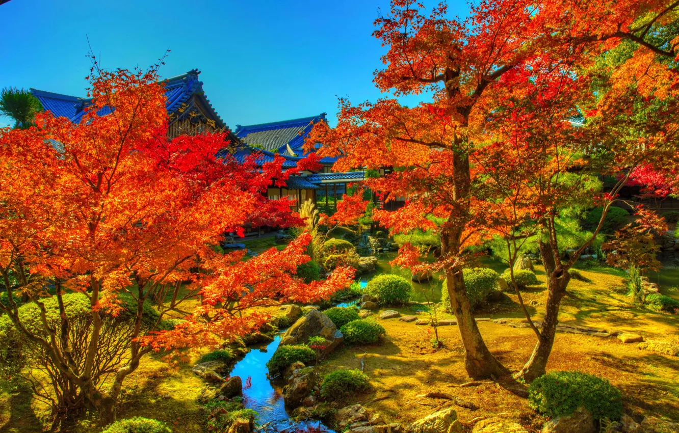 Photo wallpaper photo, HDR, Japan, garden, Japan, Kyoto