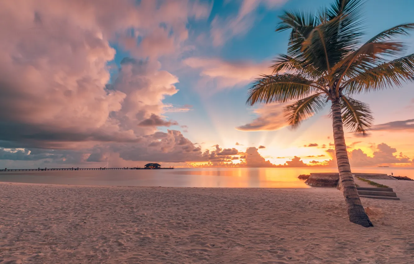 Photo wallpaper sand, beach, the sky, clouds, sunset, tropics, Palma, the ocean