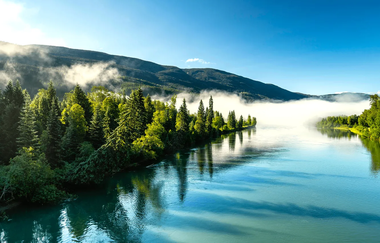 Wallpaper forest, river, sky, trees, landscape, nature, water ...