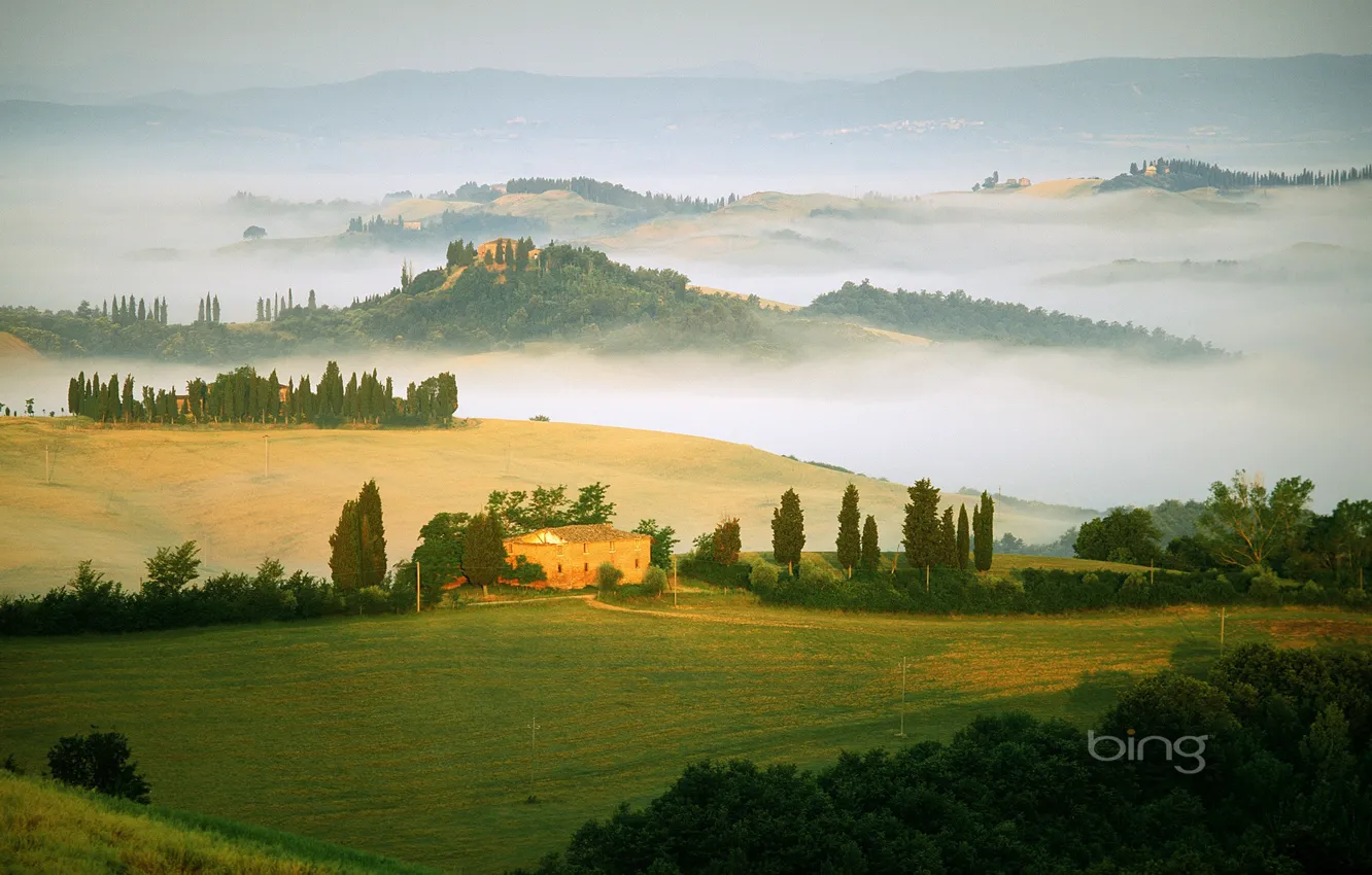 Photo wallpaper field, fog, Italy
