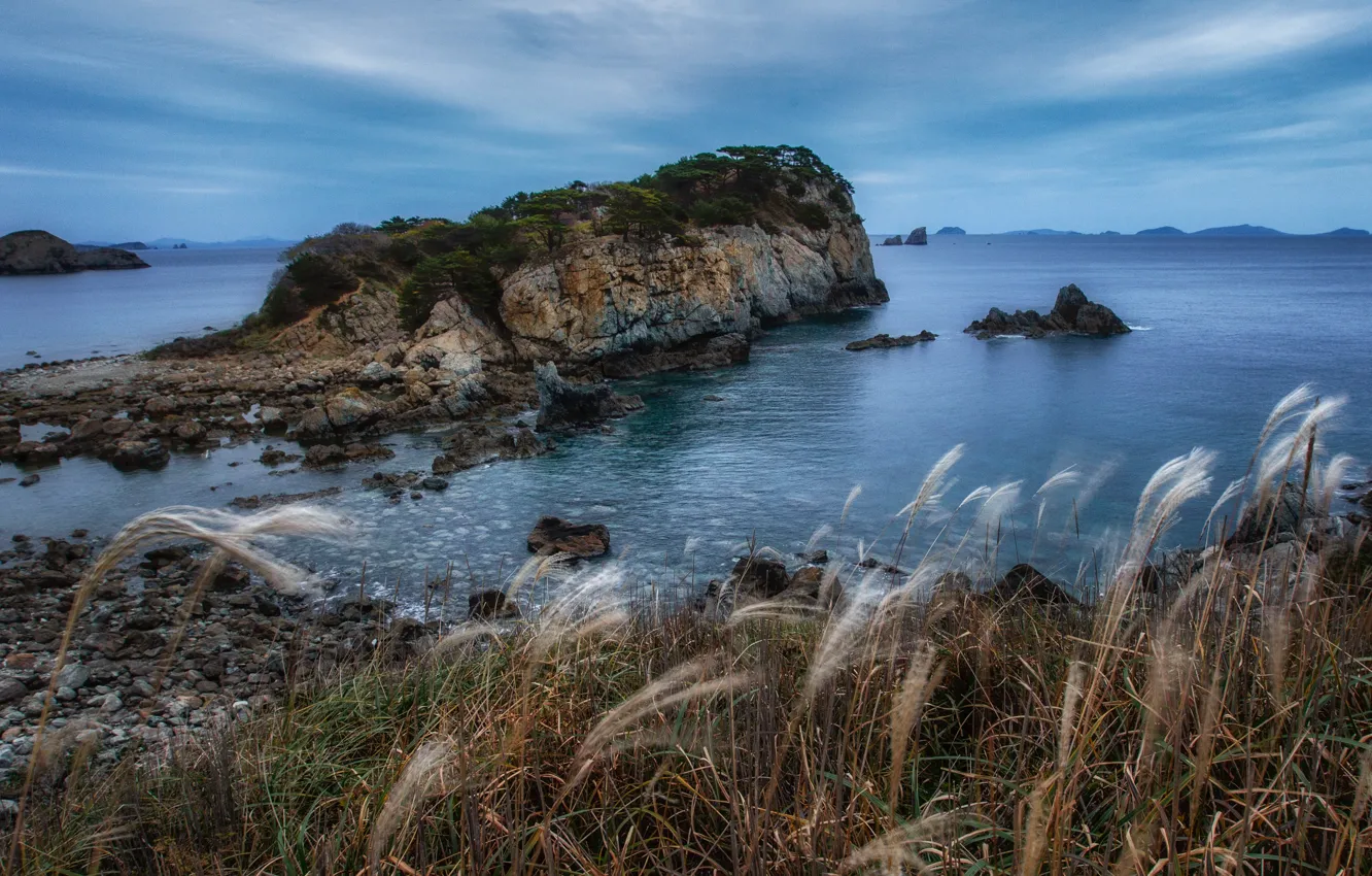 Photo wallpaper sea, grass, landscape, nature, rocks, shore, Safuanova Alfia