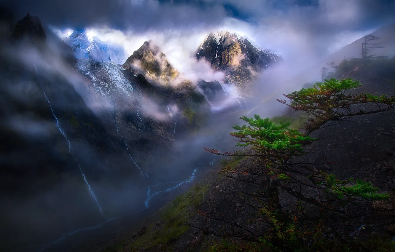 Photo wallpaper clouds, light, trees, mountains, branches, fog, tops, slope