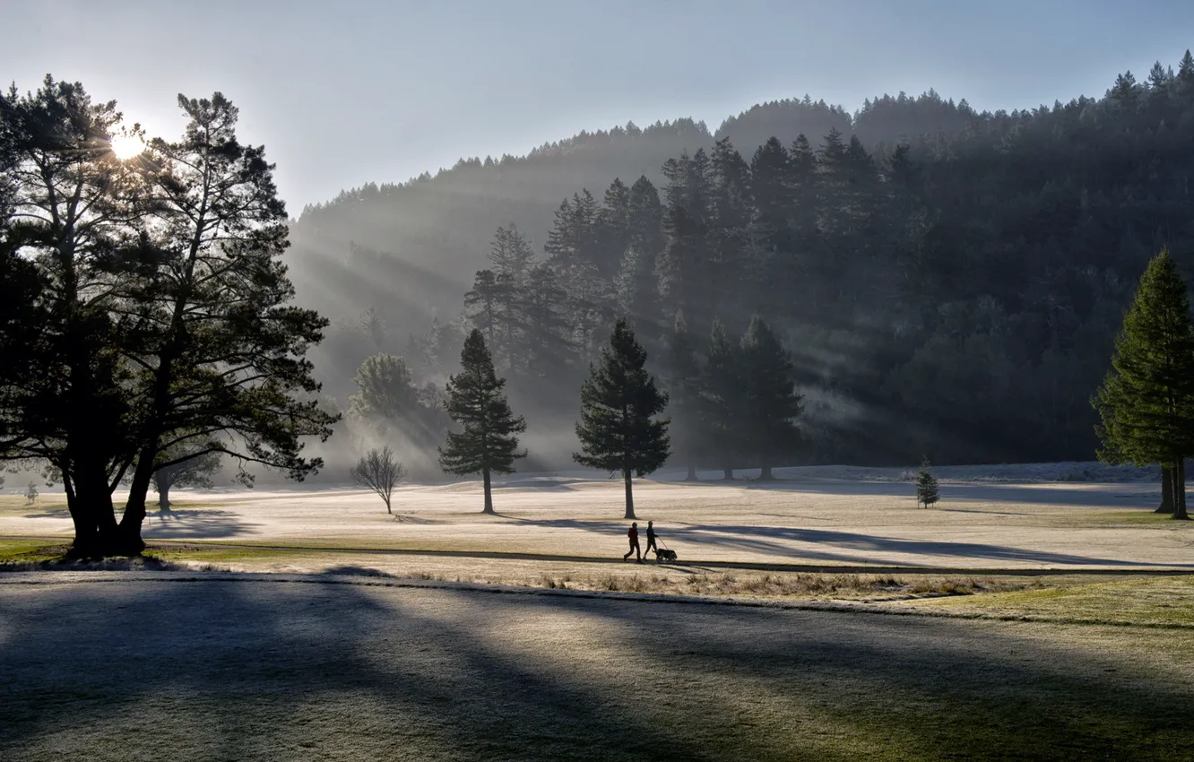 Photo wallpaper light, landscape, Park, morning