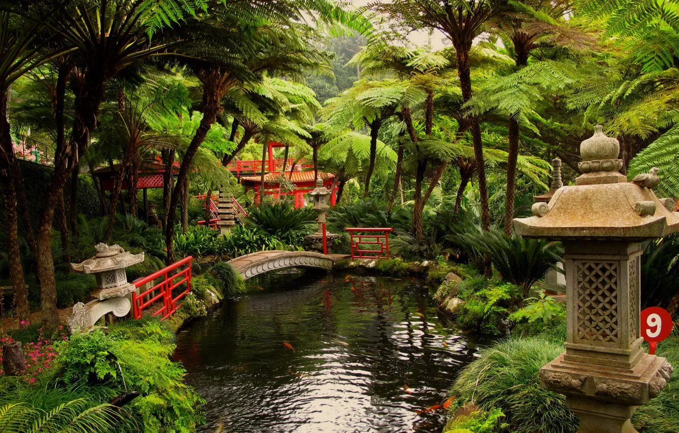 Photo wallpaper pond, Japanese, gardens