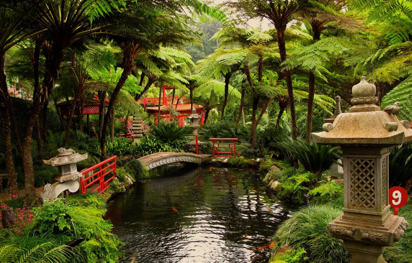 Photo wallpaper pond, garden, Japanese